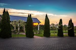 IMG_0089